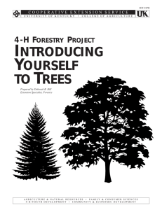 4DF-01PB: 4-H Forestry Project: Introducing Yourself to Trees