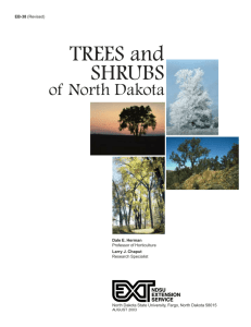 Trees and Shrubs of North Dakota