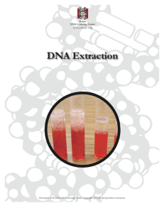 DNA Extraction - Lab Protocols