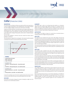 EQUITY OPTIONS STRATEGY