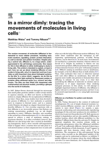 In a mirror dimly: tracing the movements of molecules in