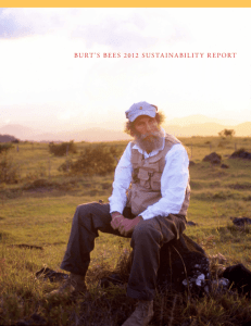 burt's bees 2012 sustainability report