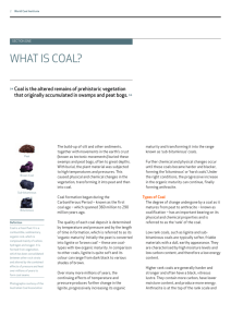 WHAT IS COAL? - World Coal Association