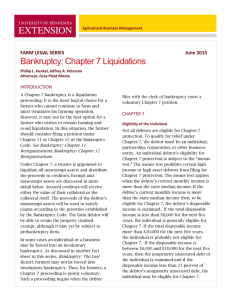 Bankruptcy: Chapter 7 Liquidations