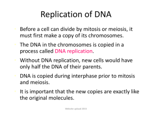 Ch. 12.2: Replication of DNA