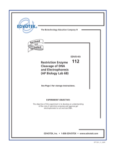 Restriction Enzyme Cleavage of DNA and Electrophoresis (AP