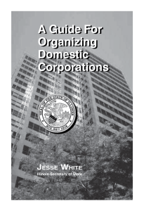 A Guide for Organizing Domestic Corporations