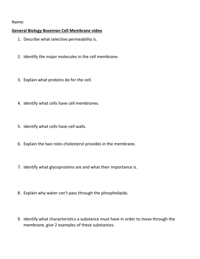 General Biology Bozeman Cell Membrane Video 1 Describe What