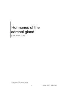 Hormones of the adrenal gland