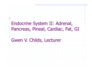 Endocrine system II Adrenal, pancreas and etc 2015