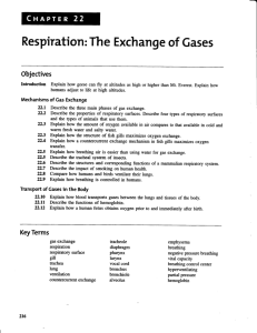 Respiration: The Exchange of Gases