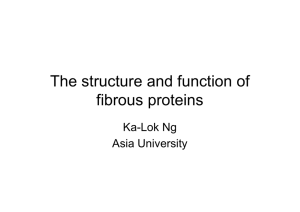 The structure and function of fibrous proteins