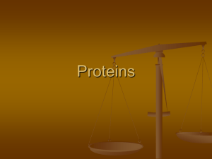 06. Proteins