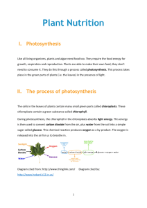 Plant Nutrition I. Photosynthesis