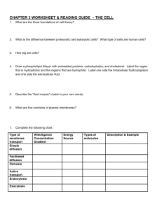 chapter 3 worksheet & reading guide – the cell