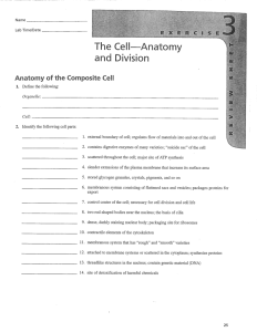 Cell Anatomy Division