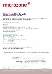Blue MegaMix-Double