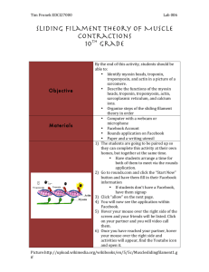 Sliding Filament Theory of Muscle Contractions 10th Grade