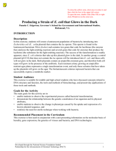 Producing a Strain of E. coli that Glows in the Dark