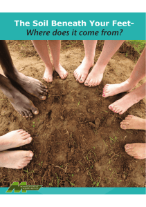 The Soil Beneath Your Feet- Where does it come from?