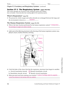 studylib.net - Essays, homework help, flashcards, research papers, book