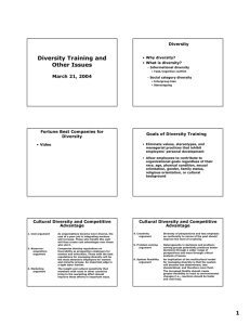 Diversity Training and Other Issues