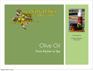 Olive Oil - Sandy Oaks Olive Orchard
