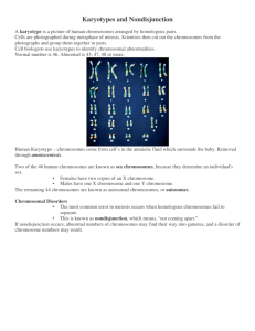 Karyotypes and Nondisjunction