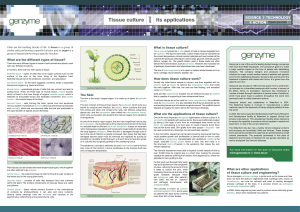 Tissue culture its applications - Science & Technology in Action