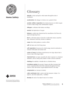 Glossary