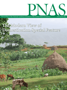 The Modern View of Domestication Special Feature National