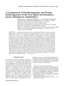 A Comparison of Parthenogenetic and Sexual Embryogenesis of the