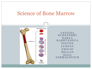 Science of Bone Marrow
