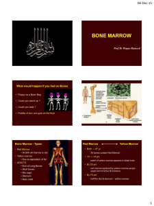 bone marrow - Dr. Waqas Hameed