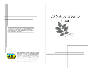 20 Native Trees in Iowa booklet