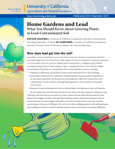 Home Gardens and Lead