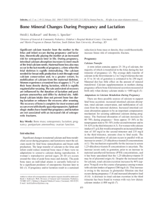 Bone mineral changes during pregnancy and lactation