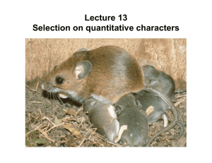 Lecture 13 Selection on quantitative characters