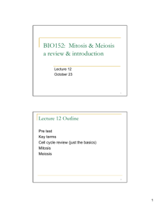 BIO152: Mitosis & Meiosis a review & introduction