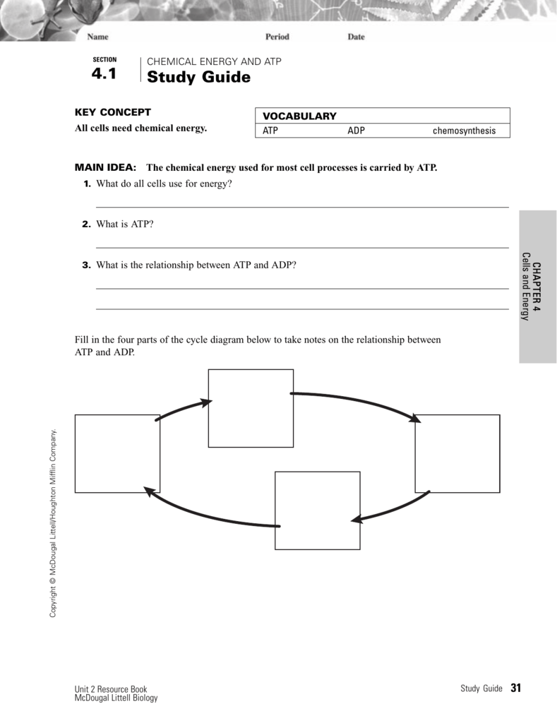 Worksheet Chemical Energy And Atp Photos