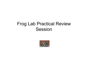 Frog Lab Practical Review Session