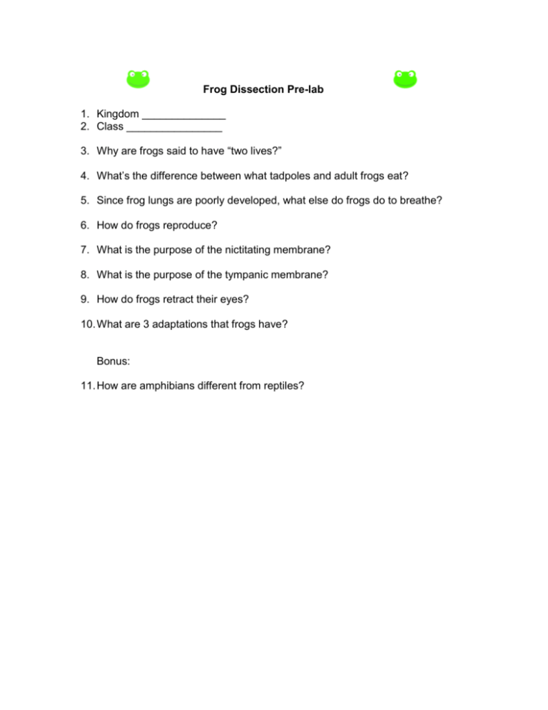 Frog Dissection Pre Lab Worksheet