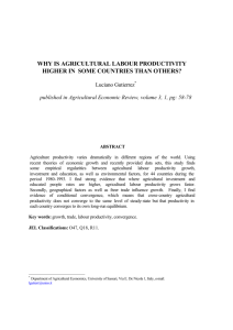 why is agricultural labour productivity higher in some countries than