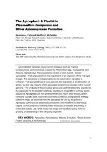 The Apicoplast: A Plastid in The Apicoplast: A Plastid in Plasmodium