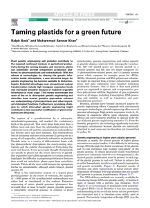 Taming plastids for a green future