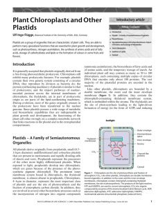 Plant Chloroplasts and Other Plastids