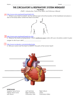 Circulatory system homework help