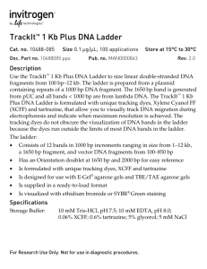TrackIt™ 1 Kb Plus DNA Ladder