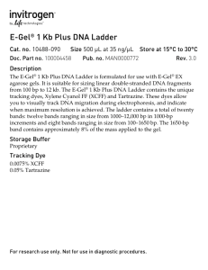 E-Gel® 1 Kb Plus DNA Ladder