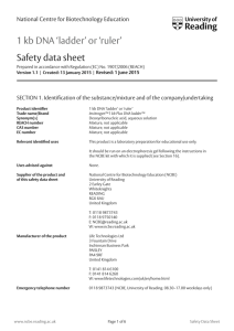1 kb DNA 'ladder' or 'ruler' Safety data sheet